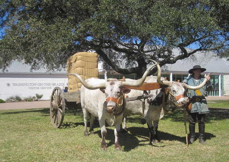 Best Western Inn Of Brenham Εξωτερικό φωτογραφία